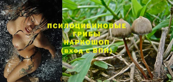 соль ск Краснослободск