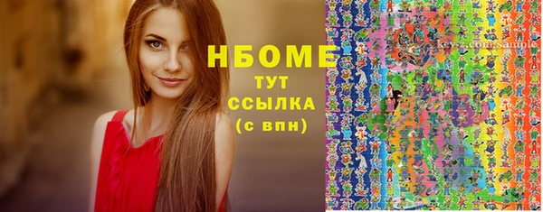 соль ск Краснослободск