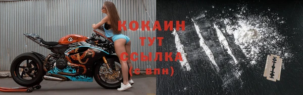 соль ск Краснослободск