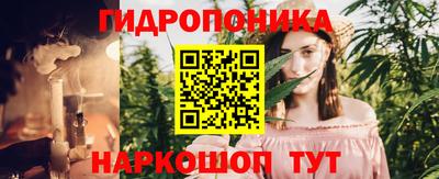 гашик Туймазы