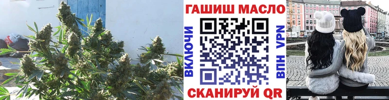 ТГК гашишное масло  Чайковский 
