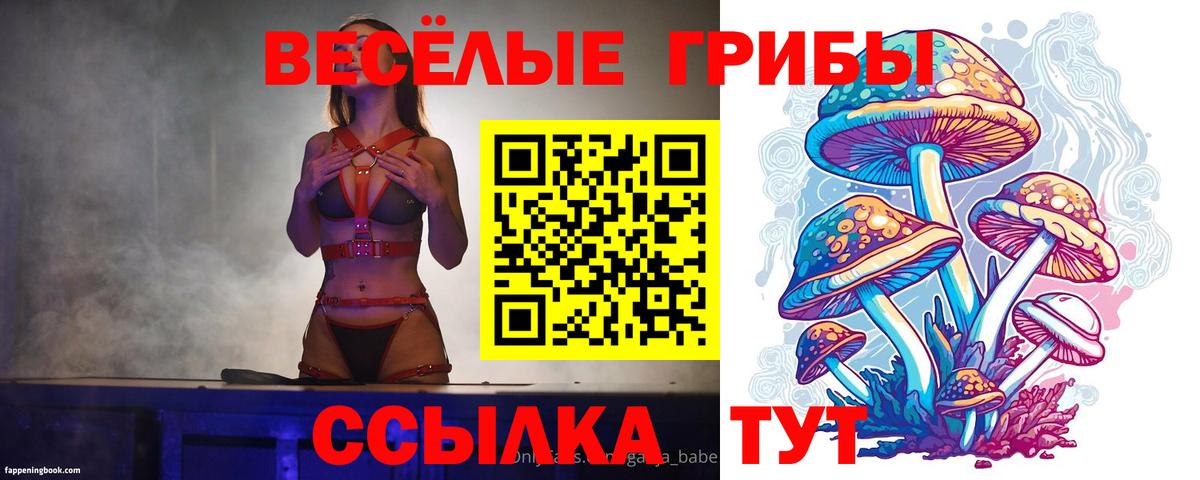 Галлюциногенные грибы ЛСД Чайковский