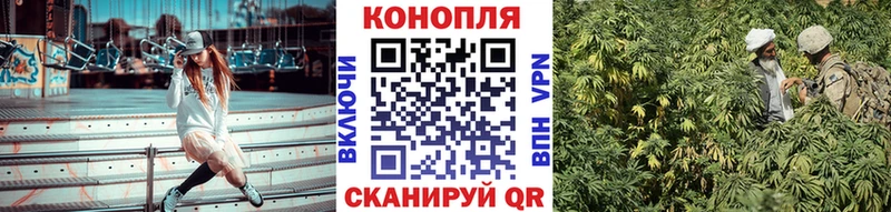 Конопля ГИДРОПОН  ссылка на мегу ссылка  Чайковский  купить наркотик 